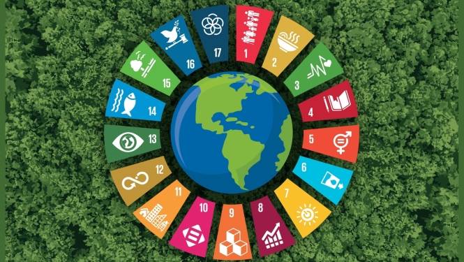 ANO Ilgtspējīgas attīstības mērķu ikonas uz zaļa meža fona