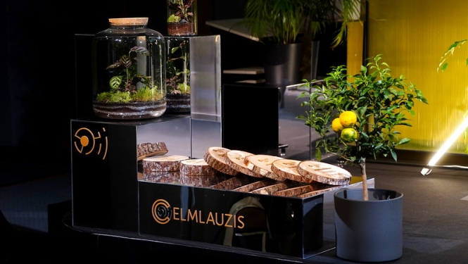 Foto no konferences. Redzamas koka balvas un uzraksts "Celmlauzis"