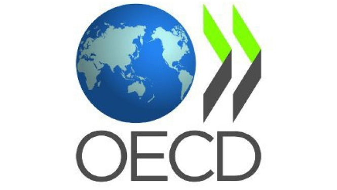 Izskata informatīvo ziņojumu par OECD rekomendāciju ieviešanu progresu