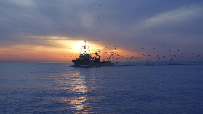 Mainīti rūpnieciskās zvejas limiti iekšējos ūdeņos