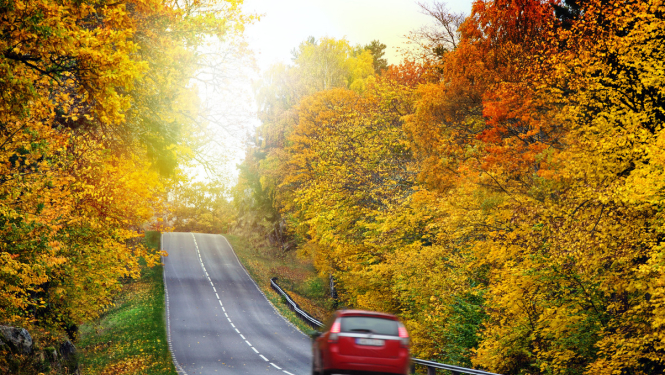 Autovadītāji varēs dzēst soda punktus apmācību kursos un braukšanas uzvedības korekcijas grupās