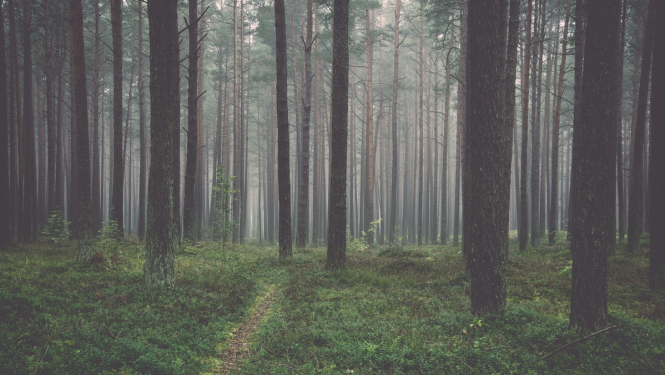 Notiks ārkārtas Krīzes vadības padomes sēde