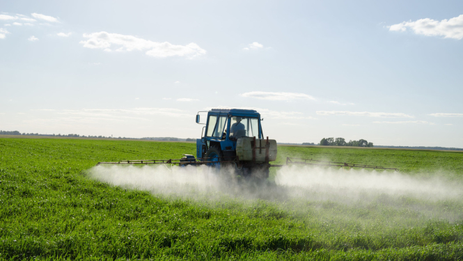 Apstiprināts Latvijas rīcības plāns augu aizsardzības līdzekļu ilgtspējīgai izmantošana