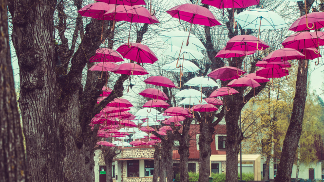 Valsts policija Ogrē ātrāk reaģēs uz iedzīvotāju izsaukumiem