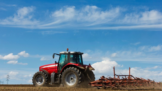 Valdība piešķir ikgadējo atbalstu lauksaimniekiem 8,7 miljonu eiro apjomā konkurētspējas nodrošināšanai