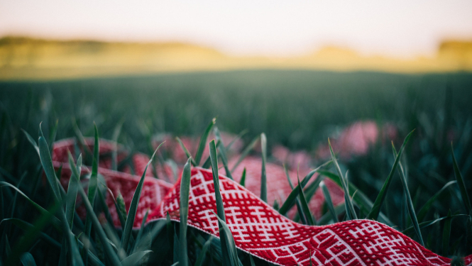 Uzsāks valsts pētījumu programmu “Latvijas kultūra – resurss valsts attīstībai”