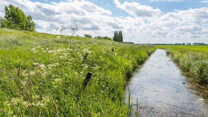 Atjaunotas prasības meliorācijas sistēmu reģistrēšanai meliorācijas kadastrā