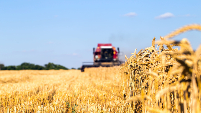 Apstiprināta valsts atbalsta piešķiršanas kārtība apgrozāmo līdzekļi iegādei lauksaimniecībā, mežsaimniecībā, zvejniecībā un akvakultūrā