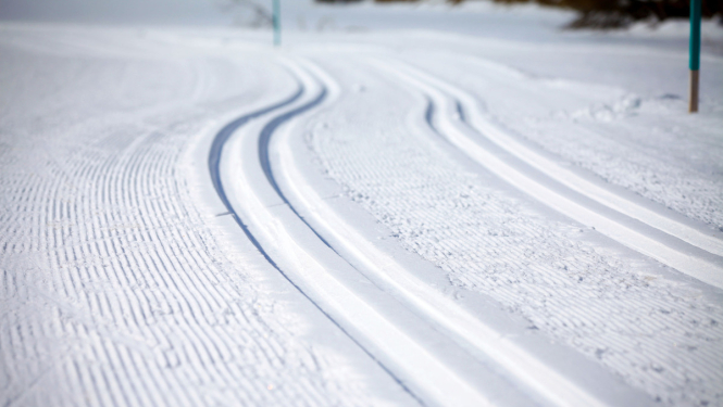 6. decembrī notiks šā gada pēdējā Latvijas Nacionālās sporta padomes sēde