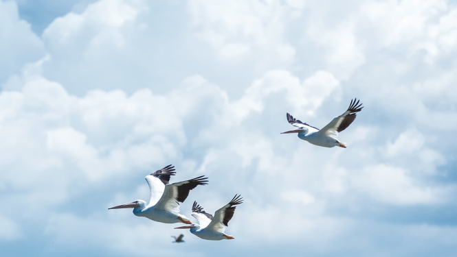 Valdība piešķir 8538 eiro pabalstu trīnīšu ģimenei