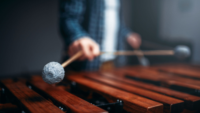 No 1. jūnija vairākās izglītības, sporta un kultūras jomās aktivitātes varēs īstenot klātienē