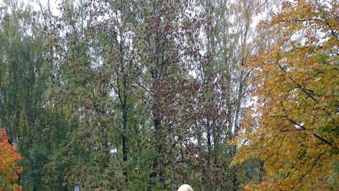 Ministru prezidents apmeklēs Siguldas novadu