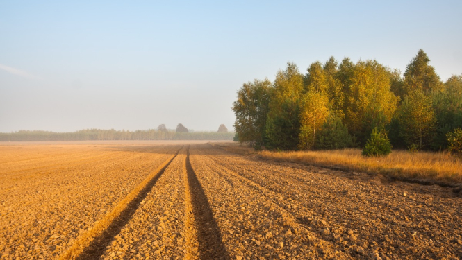 Grozīti nosacījumi platībmaksājumu saņemšanai no ELFLA 2018. gada maksājumu sezonā