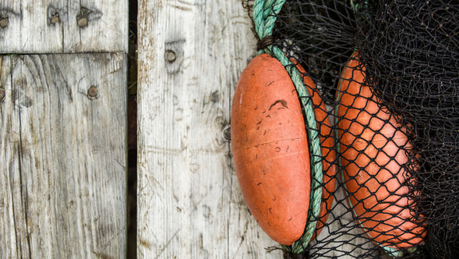 Zvejas atļaujas (licences) zvejniekiem izsniegs pašvaldības