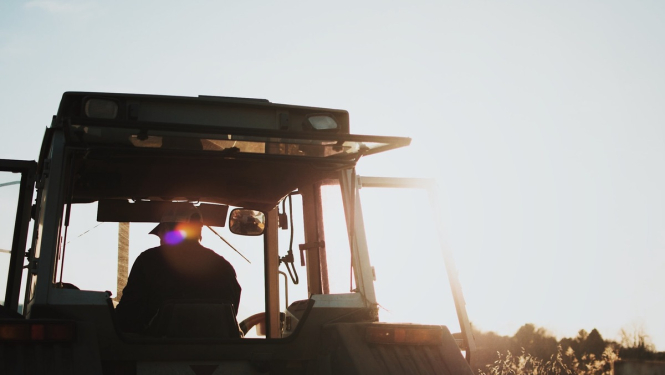 Paplašināts pretendentu loks un atbalsta summa konsultāciju pakalpojuma izmantošanai lauksaimniecībā un mežsaimniecībā