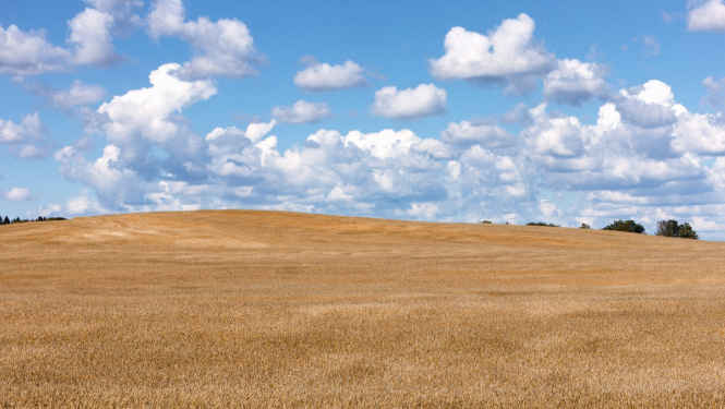 Atbalsta summa lauksaimniecībā izmantojamās zemes iegādei palielināta par 20 miljoniem eiro