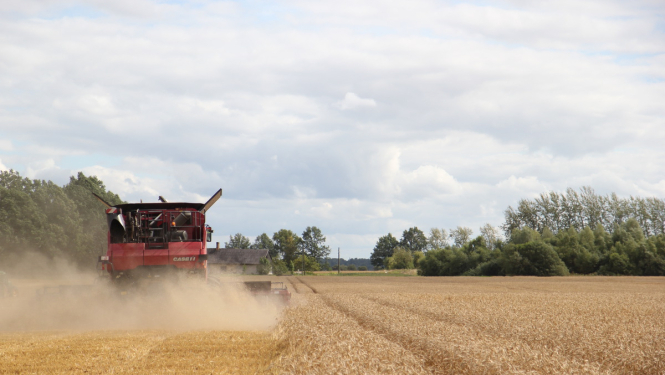 Tirdzniecībai paredzētām lopbarības sēklām būs nepieciešams veikt atkārtotu kvalitātes pārbaudi