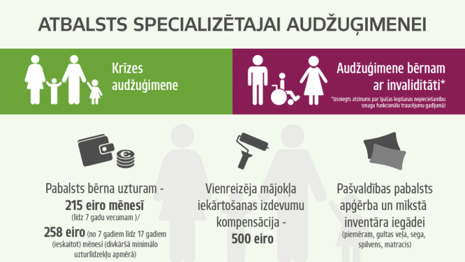 Valdība atbalsta divu specializēto audžuģimeņu veidu ieviešanu