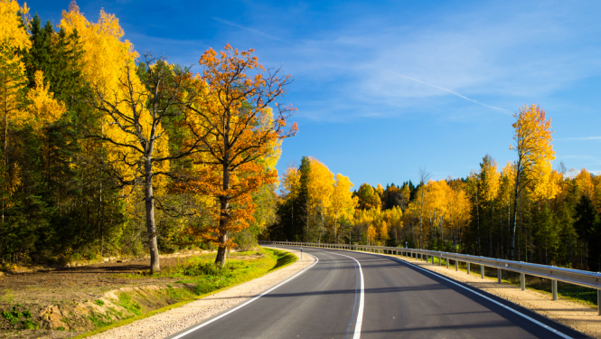autoceļš, fonā Latvijas daba, koki