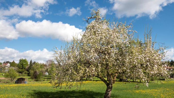 Izmaiņas atbalsta saņemšanas nosacījumos vietējām rīcības grupām un atbalsta pretendentiem