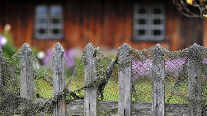 Palielināts atbalsts augstākas pievienotās vērtības produkcijas radīšanai zivsaimniecībā