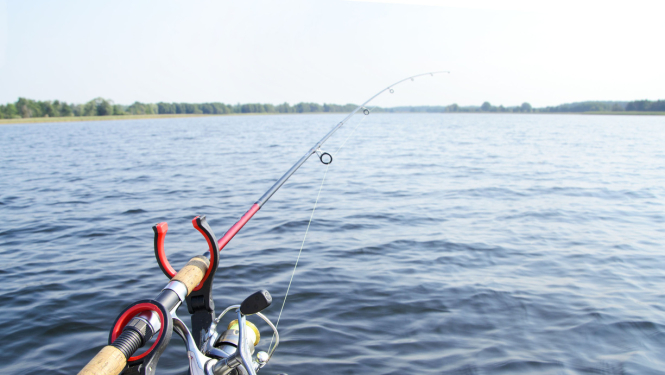 Pilnveidota un uzlabota makšķerēšanas iespēju izmantošana Latvijas ūdeņos