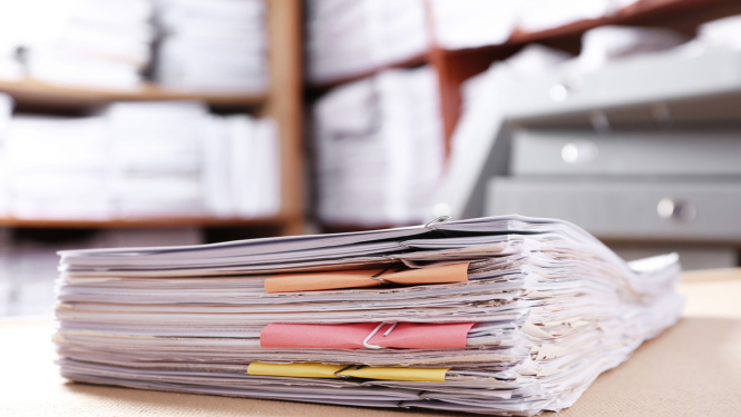 Noslēdzies konkurss par Valsts bērnu tiesību aizsardzības inspekcijas vadīšanu