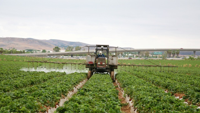 Iecerēts samazināt traktortehnikas vadītāju kategoriju skaitu