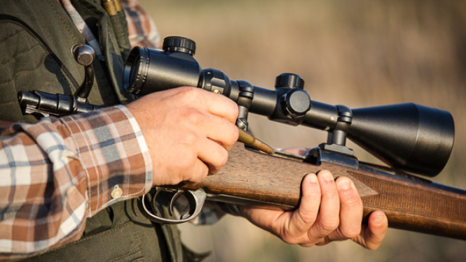 Pieņemti noteikumi par biodrošības pasākumu kopumu medībās