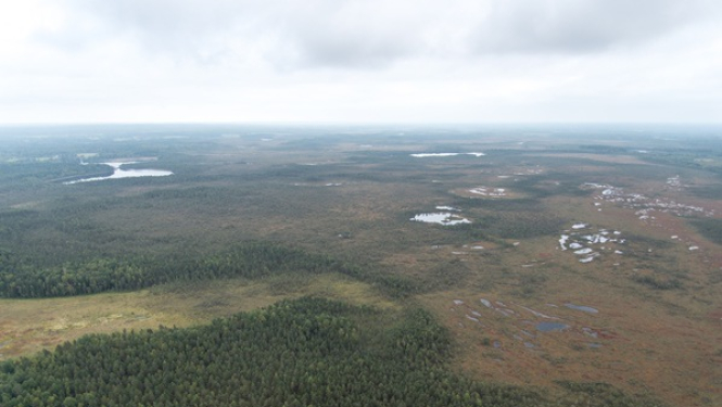 Ugunsdrošībai mežā nepieciešams lielāks finansējums