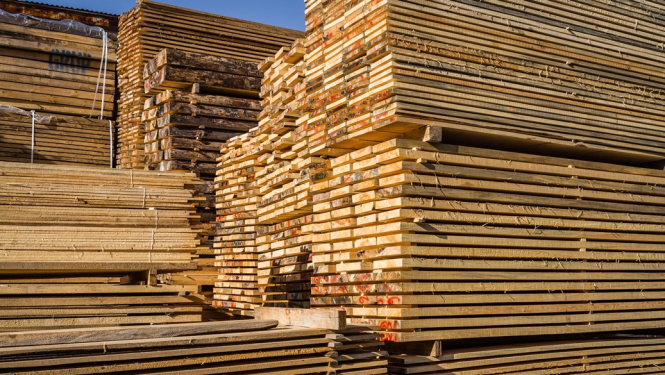 MK lemj par UIN atlaides piešķiršanu diviem kokrūpniecības uzņēmumiem – SIA “AmberBirch” un SIA “Rettenmeier Baltic Timber”