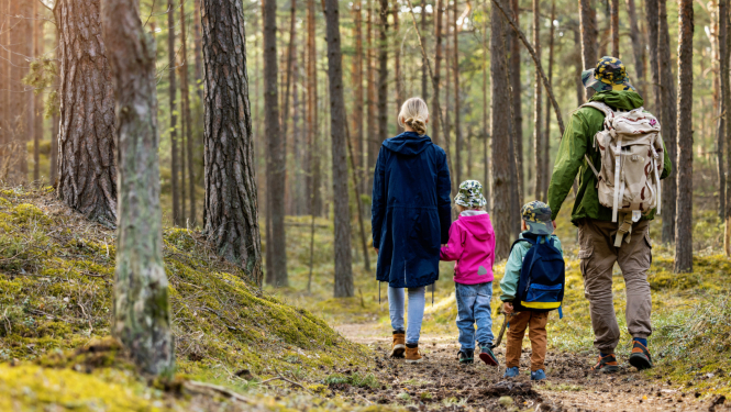 Ģimene - tētis, mamma un divi bērni pastaigājas mežā