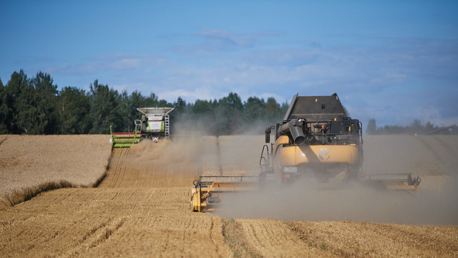 Labības lauks un tehnika