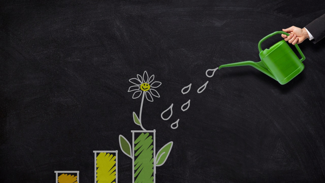 Tāfele fonā. Cilvēka roka tur zaļu lejkannu un aplej uzzīmētu ziedu zaļā podiņā. Ilgtspējas koncepts. 