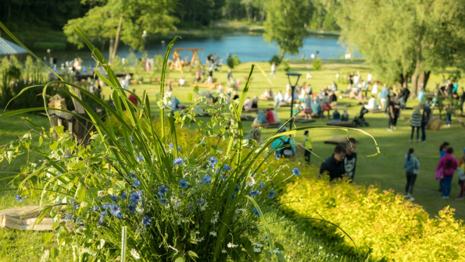 Skaista Latvijas dabas ainava, ziedu pļava, cilvēki, ezers. 