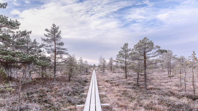 ilustratīvs attēls: dabas taka Latvijā; avots: 123rf.com