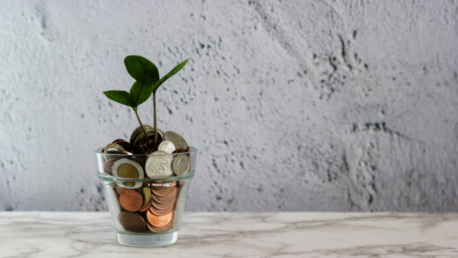 Zaļs augs vāzītē, kura sabērta nauda