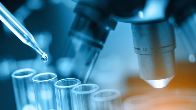 Zinātne un pētniecība