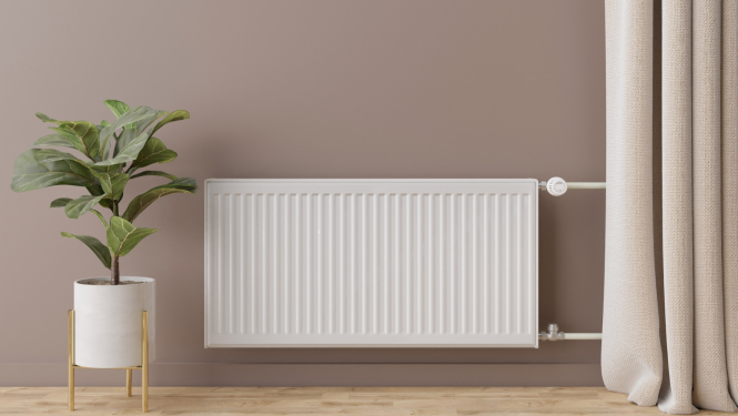 Radiators. Kreisajā pusē puķu pods ar zaļu augu.