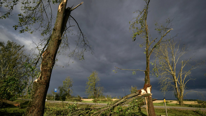 Vētras postījumi Zemgalē