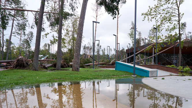 Foto: Vētras postījumi Jūrmalā (izgāzti koki, applūdusi iela)