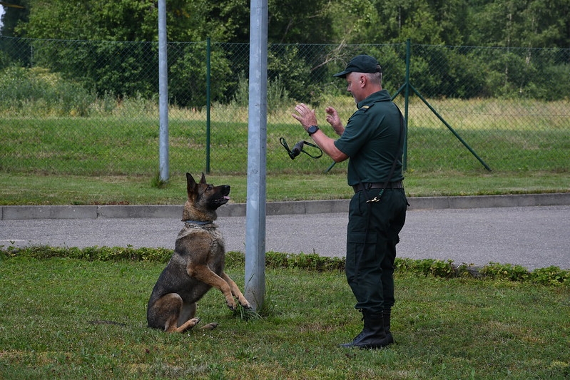 Foto: Valsts robežsardzes darbinieks ar suni