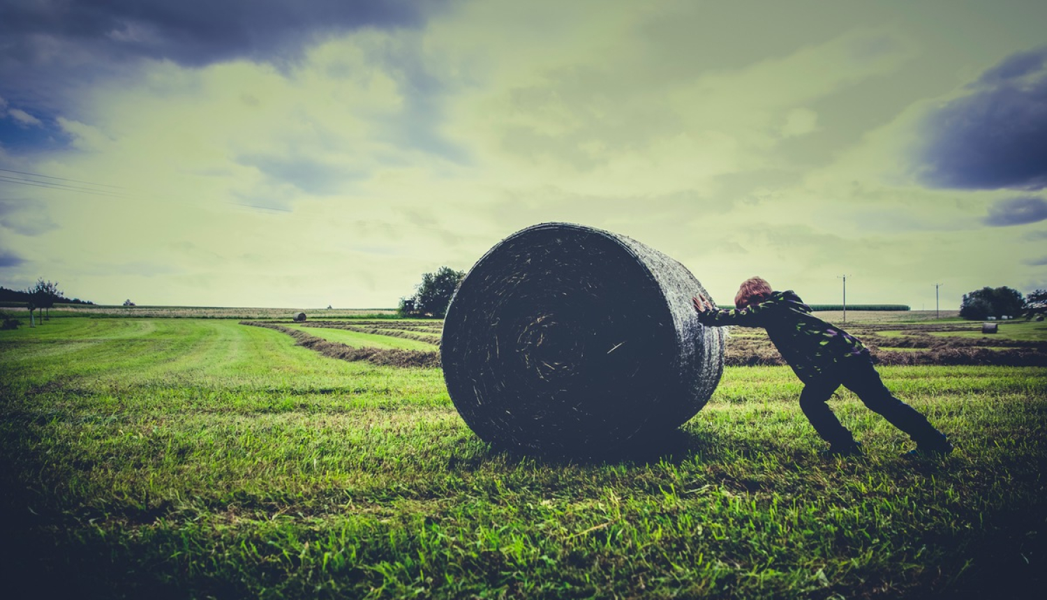 Valdība konceptuāli atbalsta valsts finansējuma palielināšanu valsts un valsts nozīmes meliorācijas sistēmu ekspluatācijai un uzturēšanai