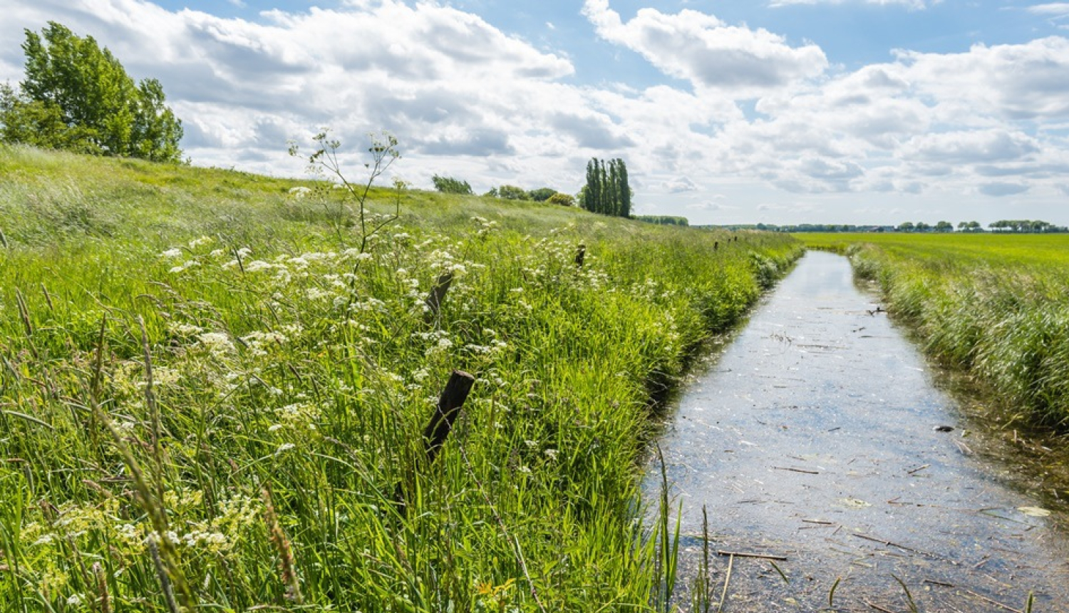 Noteikta jaunu saistību uzņemšana lauku attīstības platību maksājumiem