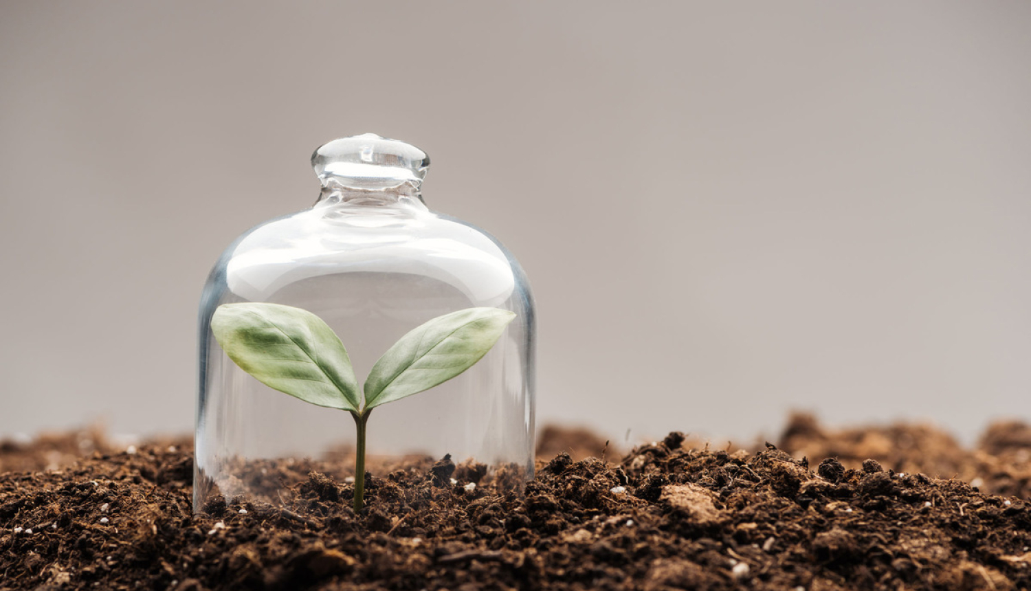 Valdība apstiprina finansējumu nevalstiskajām organizācijām Covid-19 krīzes seku mazināšanai