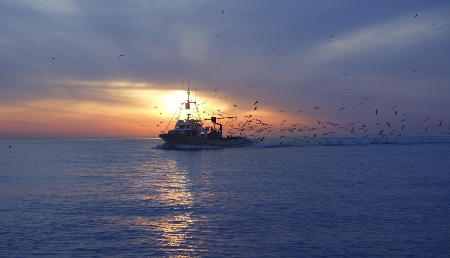 Covid-19 ietekmes mazināšanai piešķirts atbalsts zvejniecības, akvakultūras un zvejas un akvakultūras produktu apstrādes uzņēmumiem