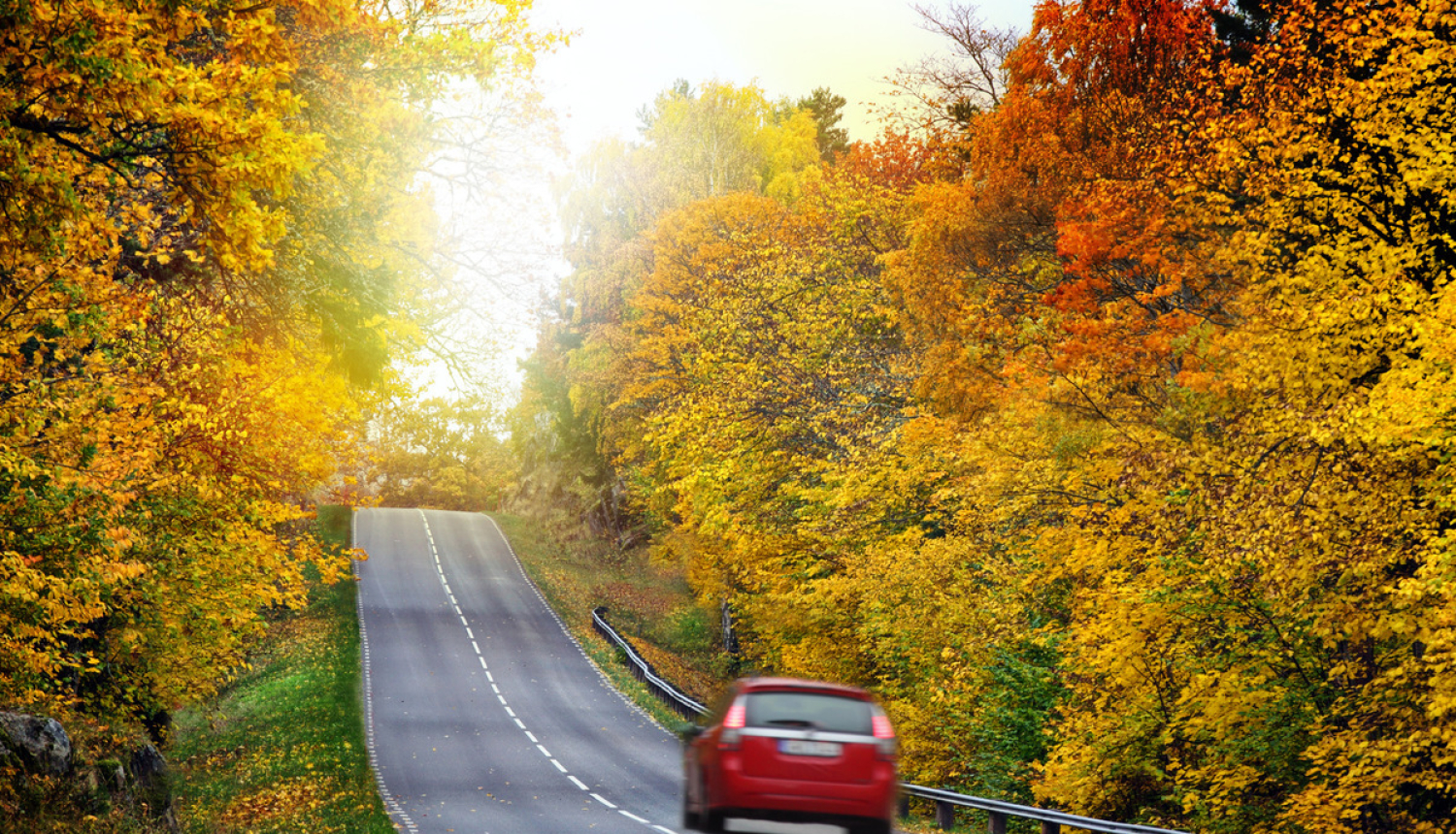 Autovadītāji varēs dzēst soda punktus apmācību kursos un braukšanas uzvedības korekcijas grupās