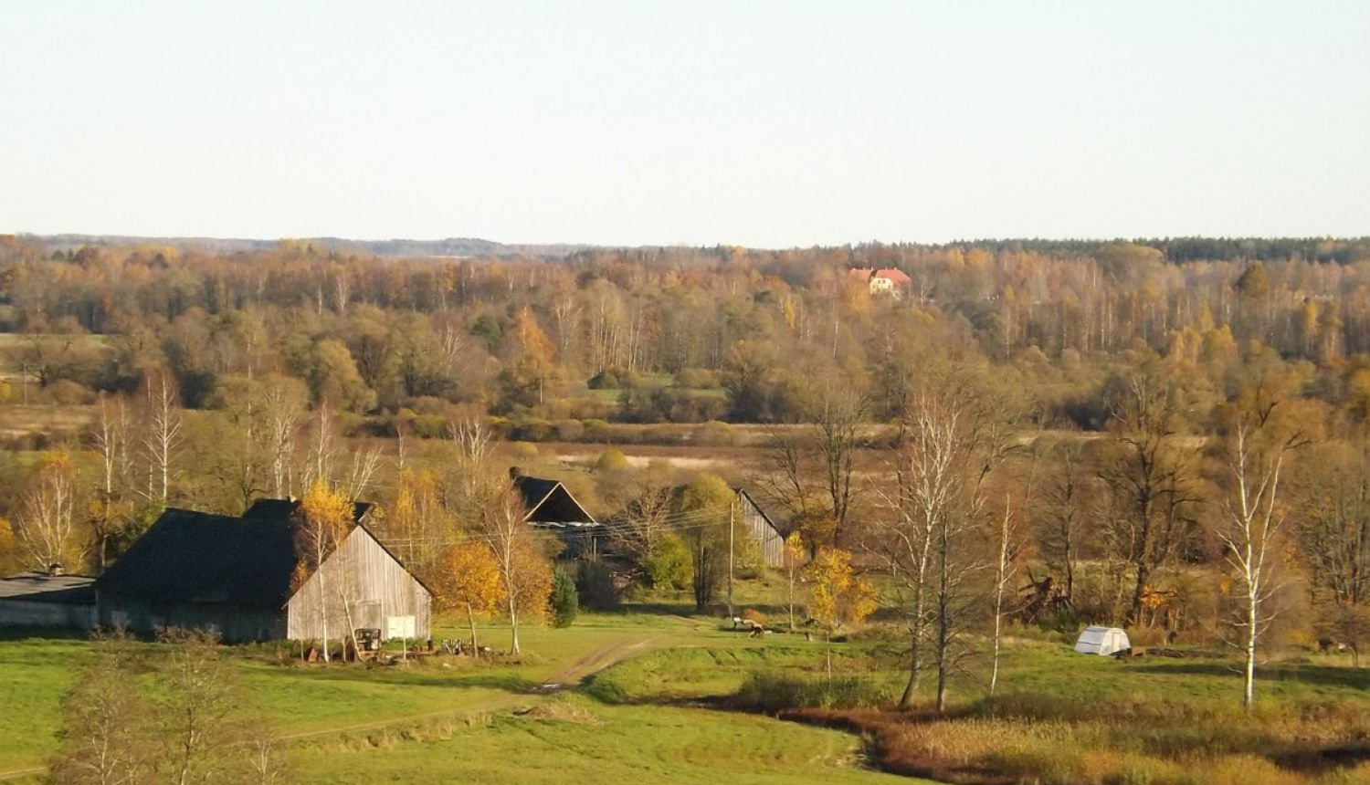 Būs pieejams papildu finansiālais atbalsts attīstībai mazajām lauku saimniecībām, uzņēmumiem un zivsaimniecībām