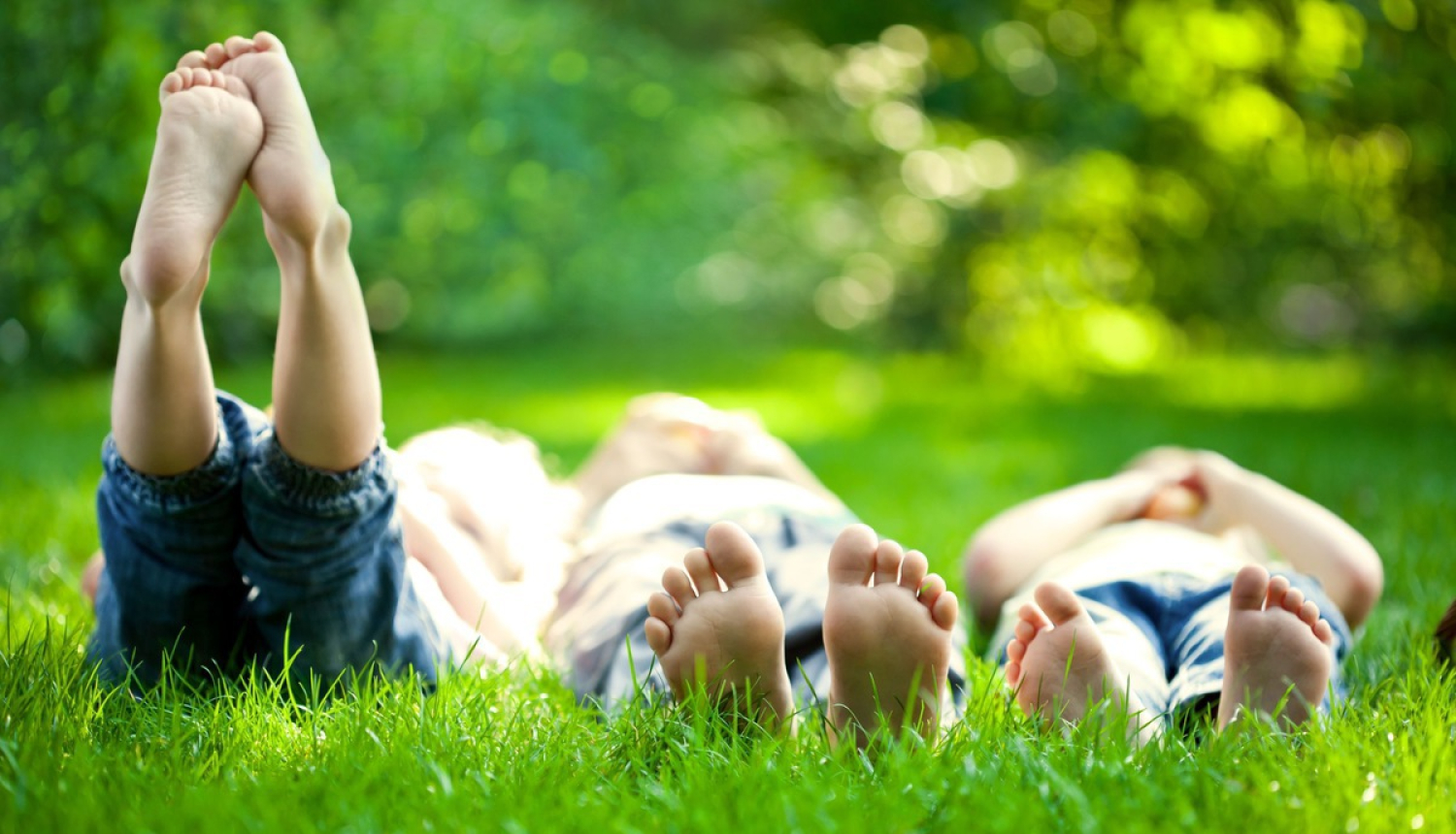 LM piesaistīs papildus finansējumu deinstitucionalizācijas programmai