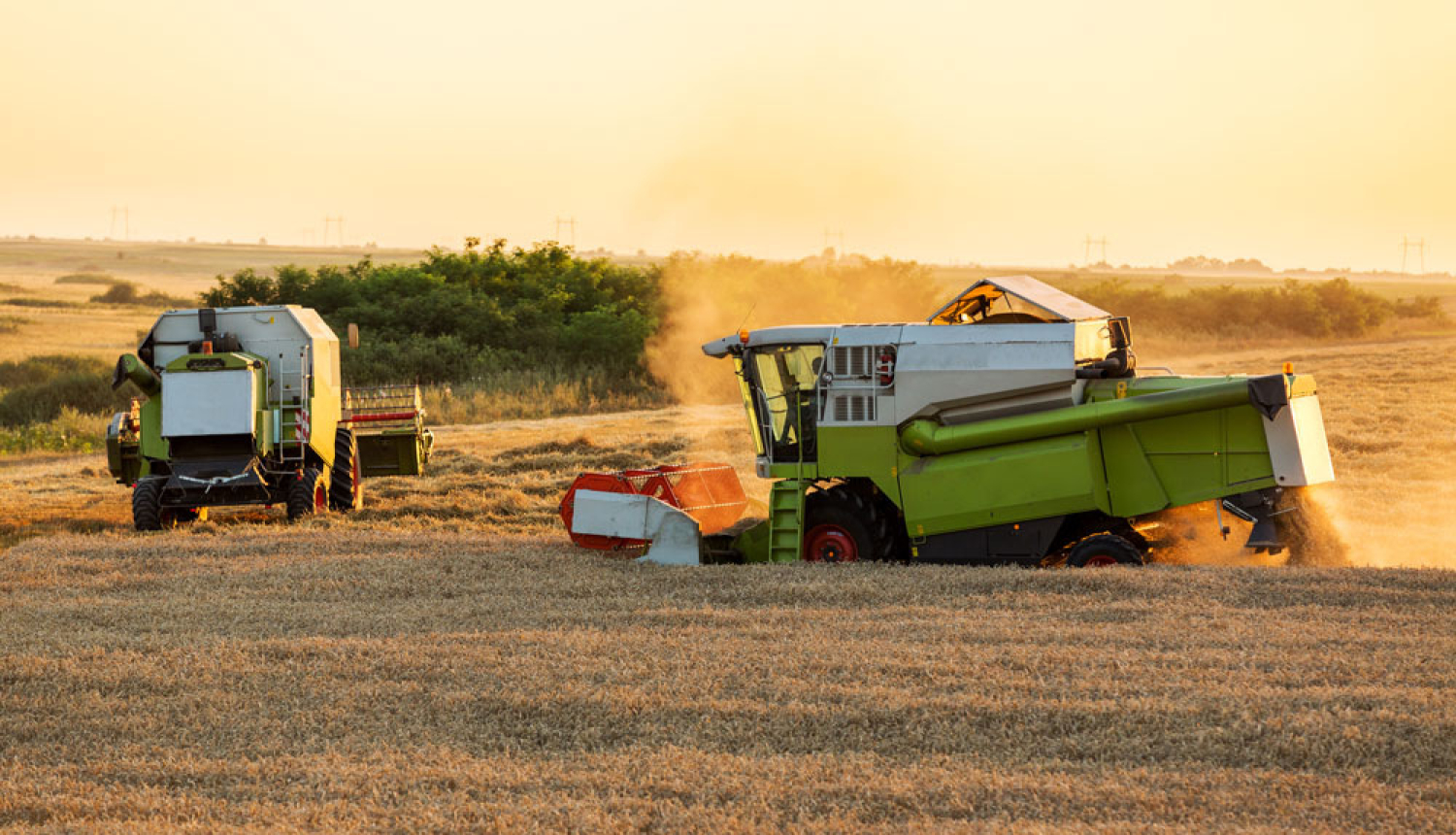 Tiešmaksājumu piešķiršanā lauksaimniekiem 2018. gadā piemēros vairākus atvieglojumus